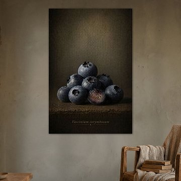 Blueberry — still life in classical light by Bert Quaedvlieg