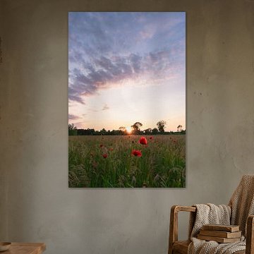 Poppies in the Evening Glow by Manon Huls