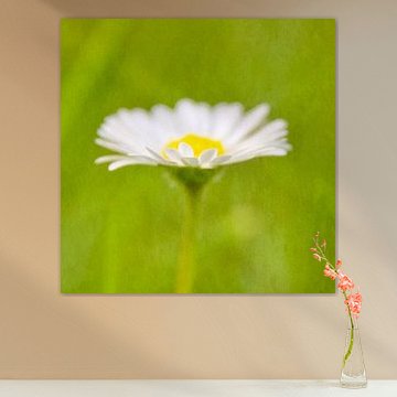 Gänseblümchen 1 malerisch von Jaap Tanis