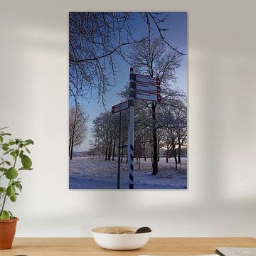 A guide to a white world by Jasmijn Schoester