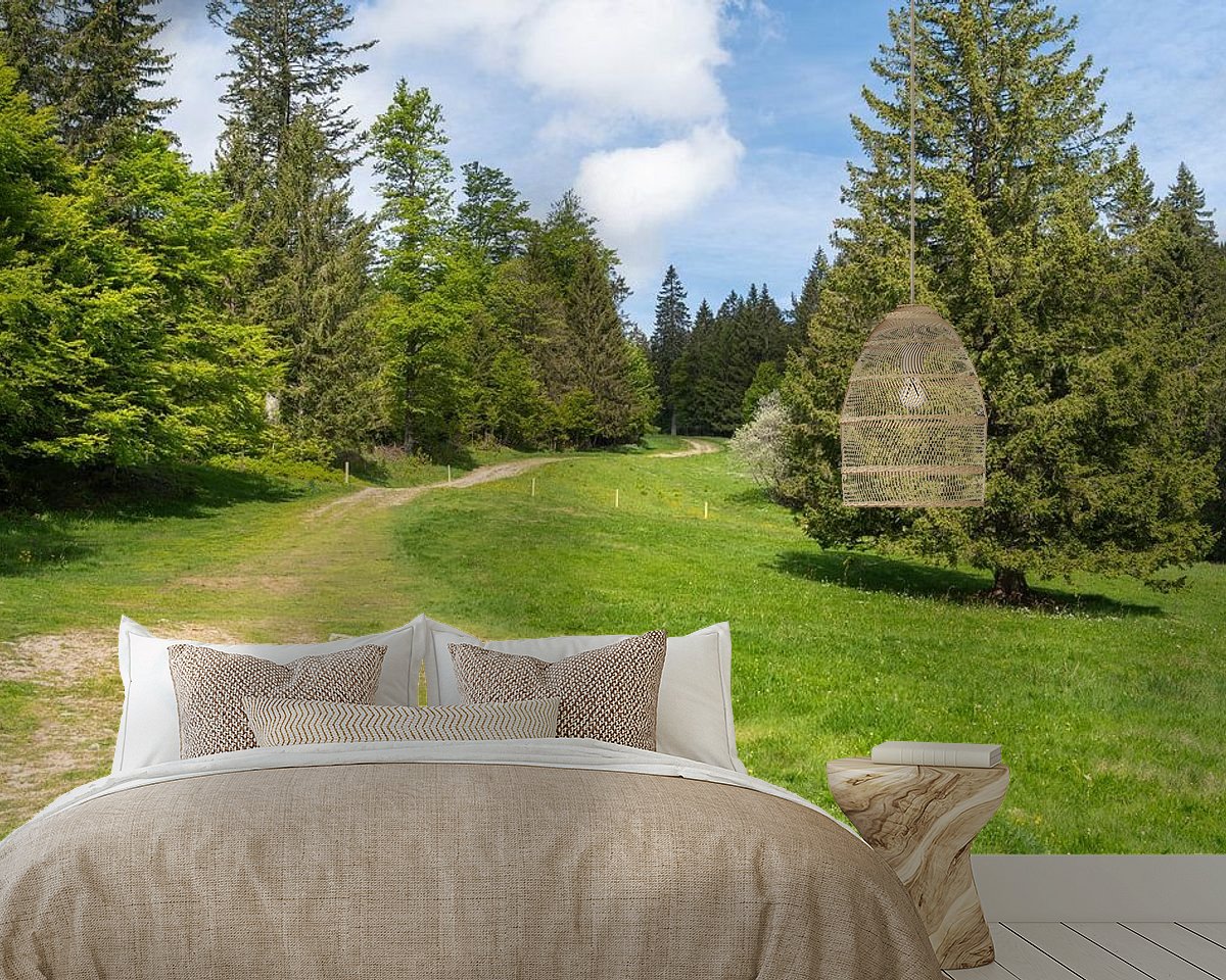 Raumvorschau