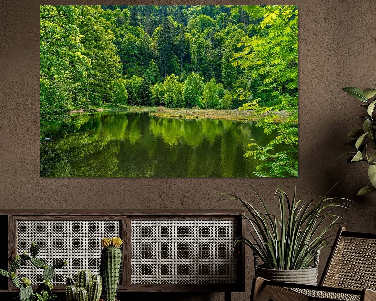 Raumvorschau