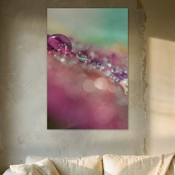 Pure and colourful: Reflections in the droplets by Marjolijn van den Berg