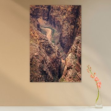 The Colorado River passing a canyon, Arizona, USA by PhotoCluster