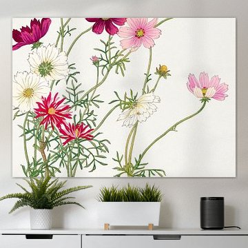 Cosmos Flower - Tanigami Kônan by Apolo Prints