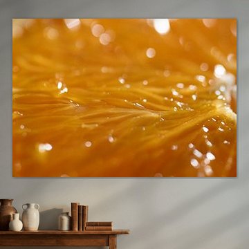 Close-up of fruit in detail