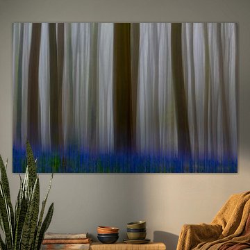 Hallerbos ICM van Bert van Leeuwen