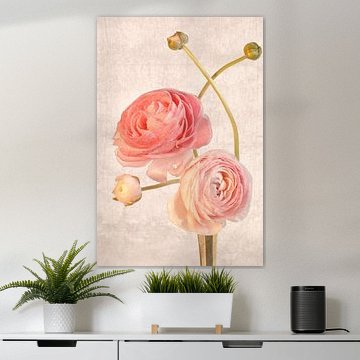 Anémone de style vintage.