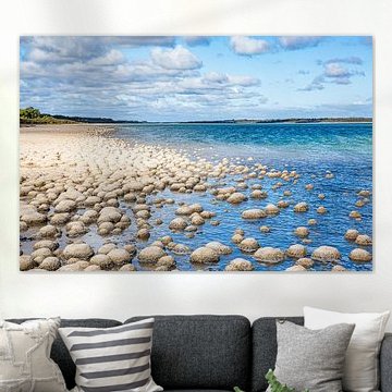 Stromatolieten in het licht van Lake Clifton van Patrick Kilb