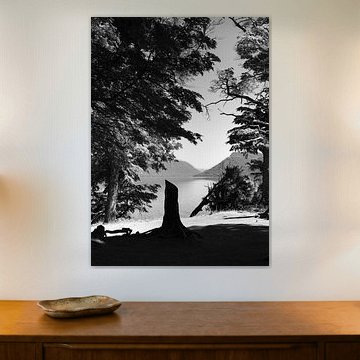 Patagonia Wild Beauty #3 by Rafael Campezato