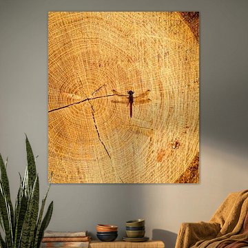 Zarte Flügel auf strukturiertem Stoff von Lianne Weijs