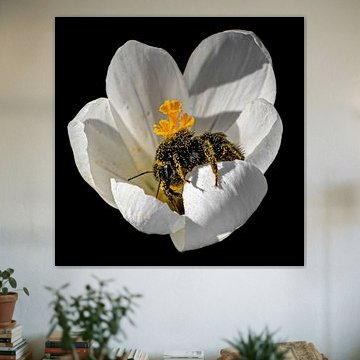 Goldgräber im Frühlingslicht (2) von Lianne Weijs