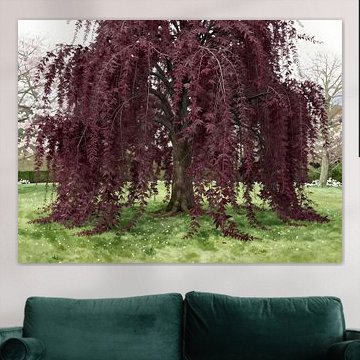 Dark red weeping willow in Spring Park