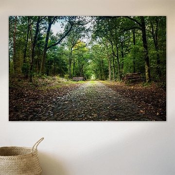 Kopfsteinpflasterweg in der Umgebung von Exloo von Alexander van der Molen