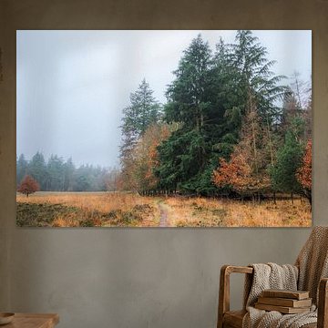 Hohe Bäume und Nebel im Evertsbos von Alexander van der Molen