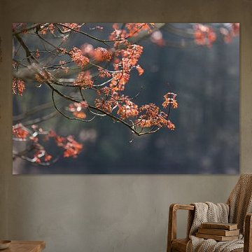 Ein Lichtspiel der Liebe zwischen den jungen Frühlingsblättern von Karin van Es