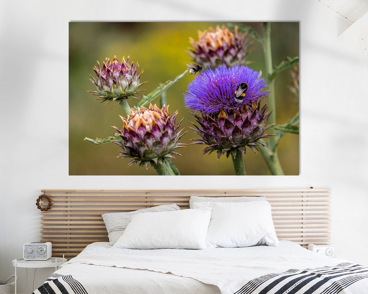 Raumvorschau