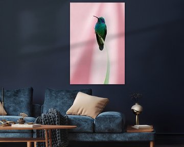 Kolibrie met roze achtergrond (Costa Rica) van Cocky Anderson