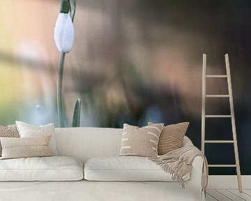 Silence by Bob Daalder