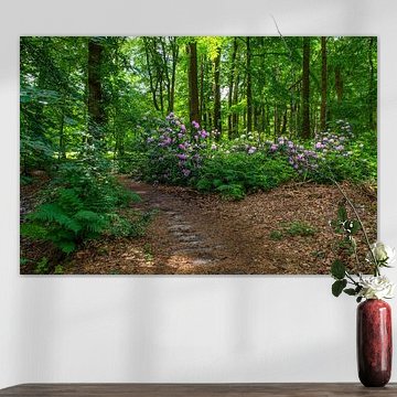 Wunderschöne Natur von Alexander van der Molen