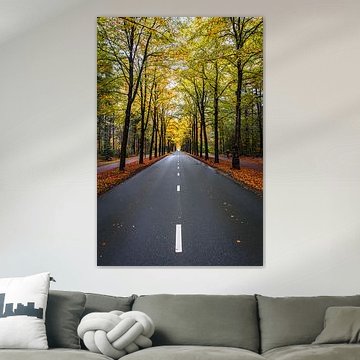 Assen in Herbstfarben