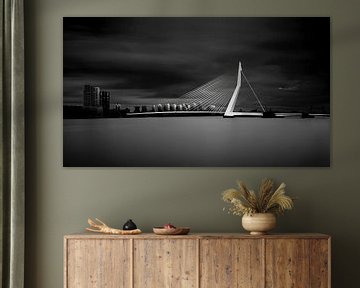 Erasmus bridge Rotterdam by Boris Van Berkel