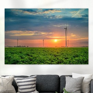 Kartoffelpflanzen auf einem Feld bei Sonnenuntergang von Sjoerd van der Wal Fotografie