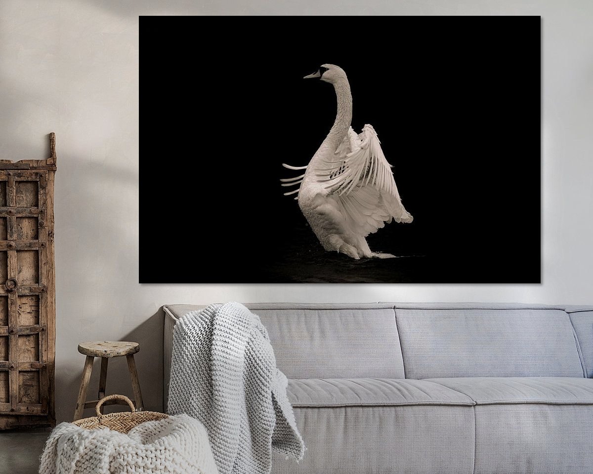 Raumvorschau