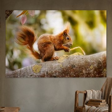 Squirrel by Andre Michaelis