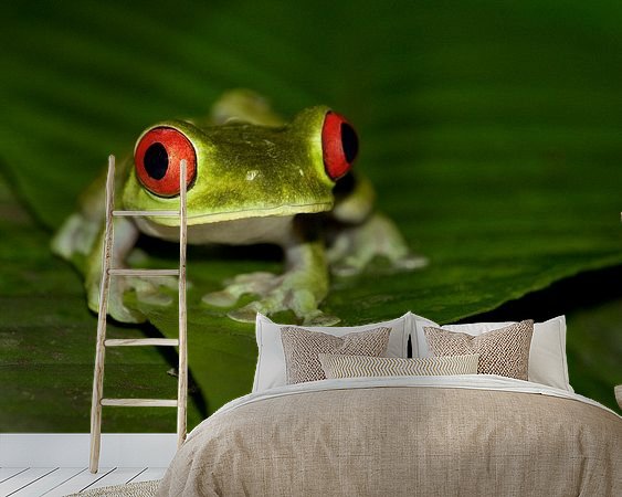 Aperçu de la chambre