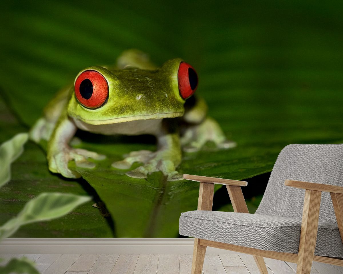 Raumvorschau