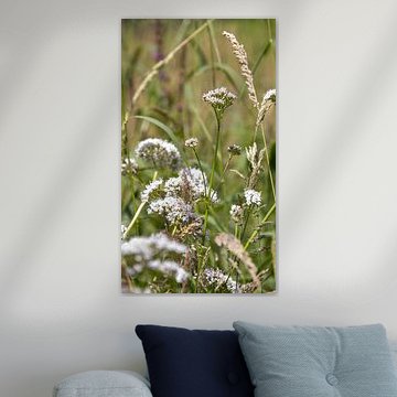 Blumenwiese im Achterhoek von Ankie Kooi