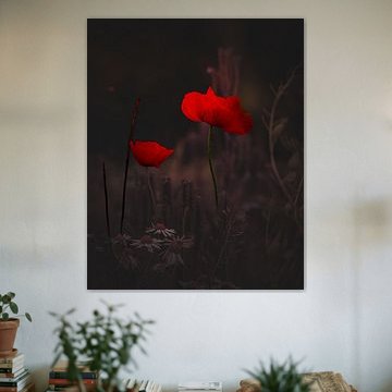 Karmesinrote Stille von Judy Pietuszko