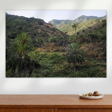 Entdecken Sie die üppigen Palmentäler auf La Gomera, Spanien, bei einer ruhigen Fahrt von PhotoCluster