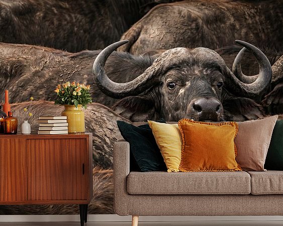 Raumvorschau