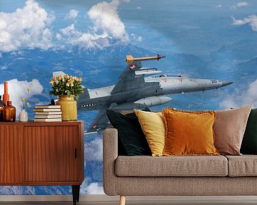 Swiss Air Force F-5 Tiger II by Dirk Jan de Ridder - Ridder Aero Media