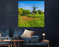 Raumvorschau