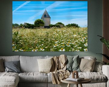French farm in camomile field by Pascal Raymond Dorland