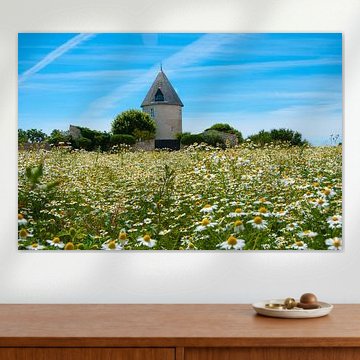 Französischer Bauernhof in Kamille Feld