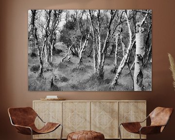Berkenbos in zwartwit, Digitale kunst van Watze D. de Haan