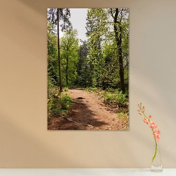 Offener Waldweg auf dem Lemelerberg von Deborah de Meijer