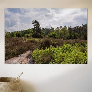 Die Frühlingssonne über der Landschaft des Lemelerbergs von Deborah de Meijer