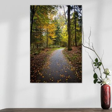 Der Herbst ist schön von Alexander van der Molen