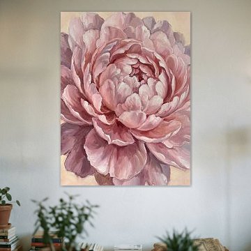 Entfaltende Pfingstrose – Rosa und Creme von nekochan23