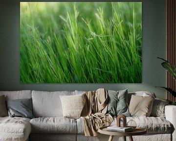 Green, green, grass of home van Herbert Seiffert