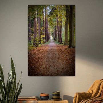 Nature makes people feel small by Alexander van der Molen