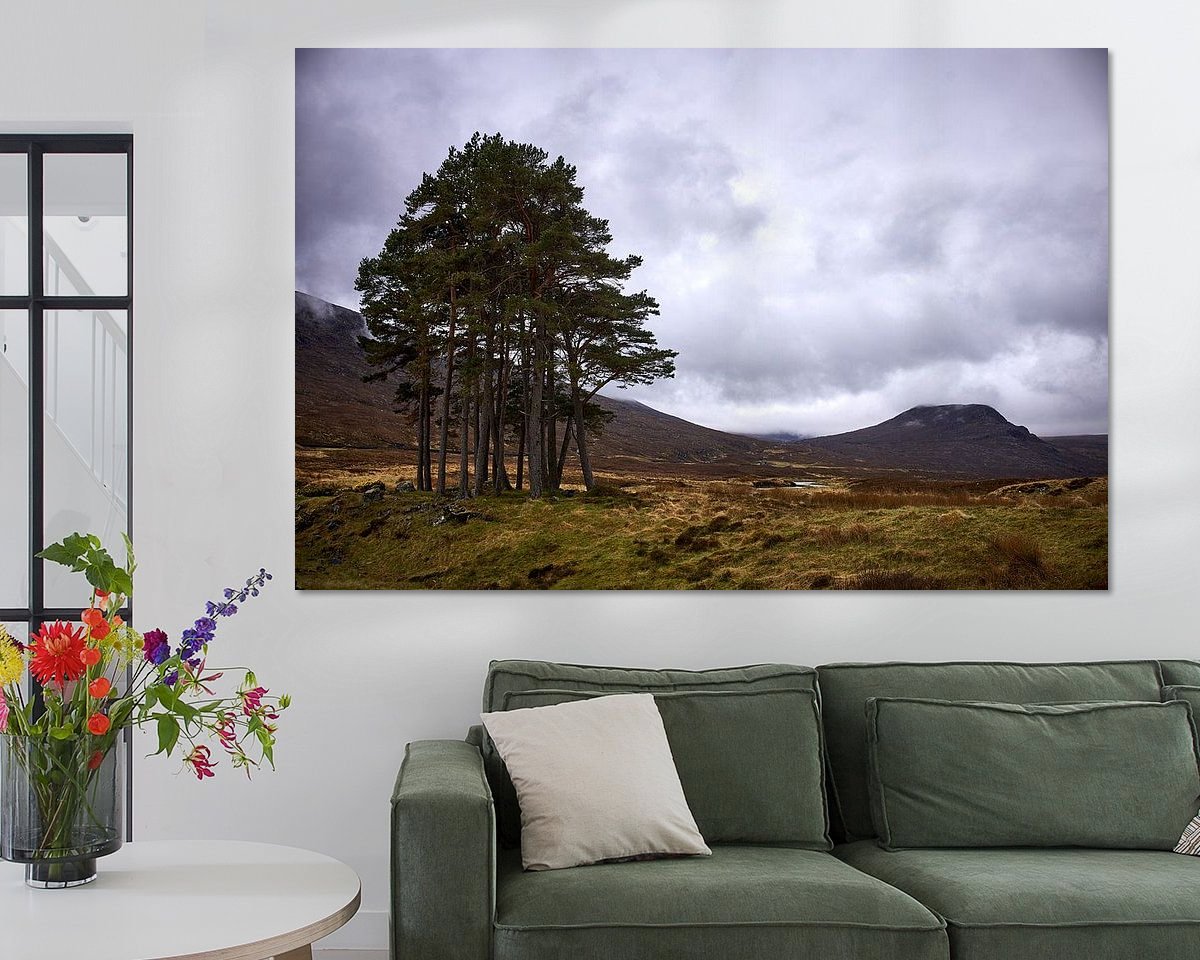 Raumvorschau