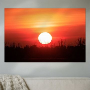 Zonsopkomst Almere Lepelaarsplassen van Foto Studio Labie