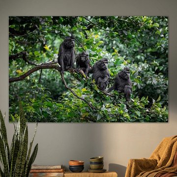 Affenfamilie von Kimberly Scheers - Mennen