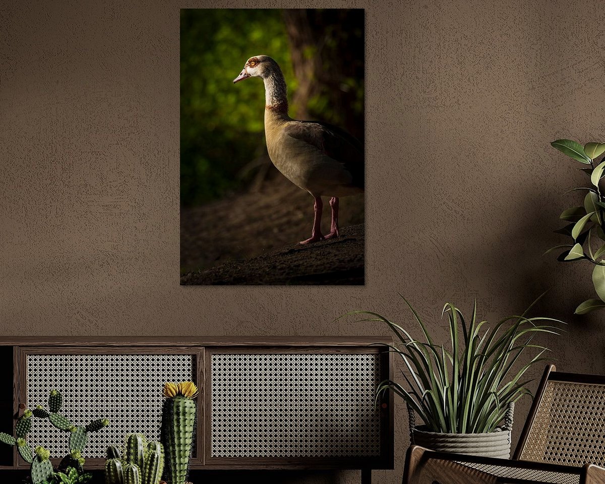 Raumvorschau